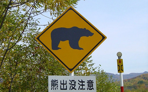 解決熊害！日急修警械使用規則  今起准使用步槍捕殺