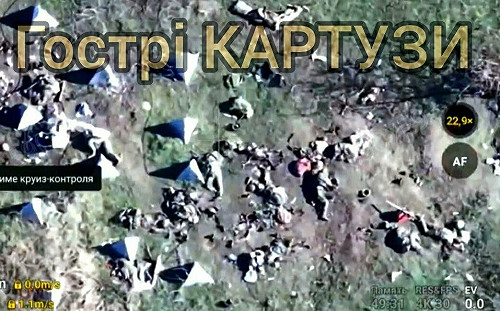 (影) 烏軍多布羅皮利亞大反攻! 緩慢進攻欺敵 殲1200多俄兵 解放多個村莊