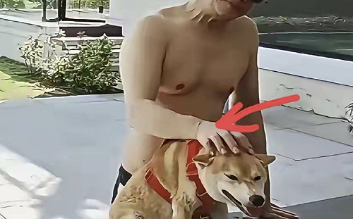 (影) 越描越黑! 李連杰脫衣闢謠接受心臟移植！網質疑：有人造皮接縫