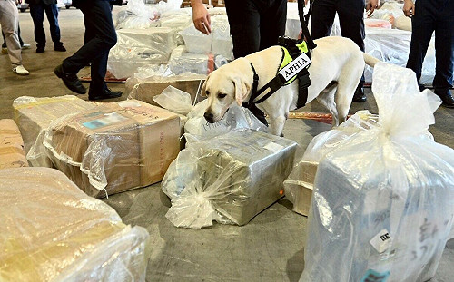 全球83疫區、亞洲占20國　農業部：「非洲豬瘟」境外病毒仍是最大威脅