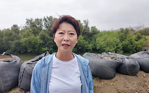 盼重現台南光榮與自信 陳亭妃完成登記：我就是最強母雞 