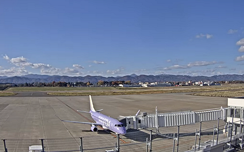 日本機場熊闖入！跑道一度關閉   2起飛航班遭延誤