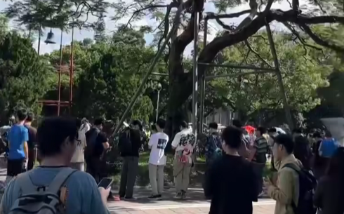 台大大氣系風評被害！網路匿名祭品文發雞排400人上當 杜奕瑾：台灣還有什麼騙不到？