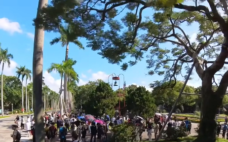 霸氣砸3.5萬發雞排！網湧入社群求證台大電機系校友真實身分 本人證實了
