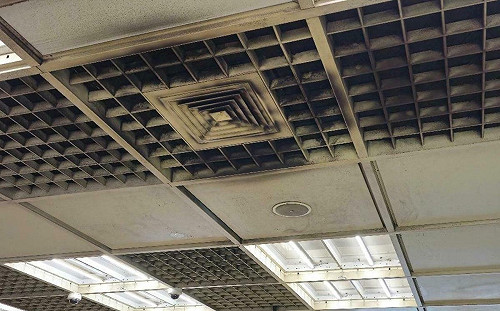 北捷大站天花板髒到發霉！王欣儀怒轟：清潔下修、稽核失蹤 