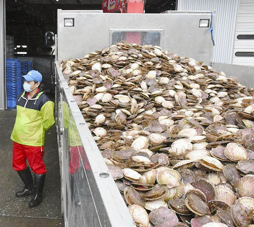 中國再禁日水產衝擊有限  業者早已開拓新通路