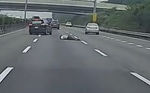 (影)國道驚險瞬間！男子行車途中摔出後座滾落車道離去   警方追查肇事車輛　