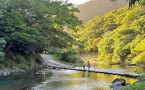 帶別人家小孩牛角灣溪玩水！孩童不幸溺斃 2家長過失致死判刑