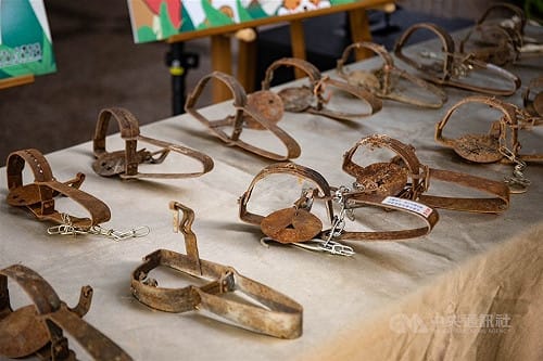 台南農夫設獸鋏誤傷流浪犬挨罰　打行政訴訟仍敗訴