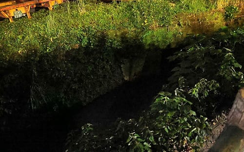 基隆河汙染源找到了？今成立「前進指揮所」清淤檢測