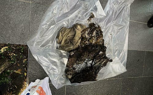 虐貓慣犯！女子丟垃圾被抓包「袋裝12具貓屍」累計14隻死亡　