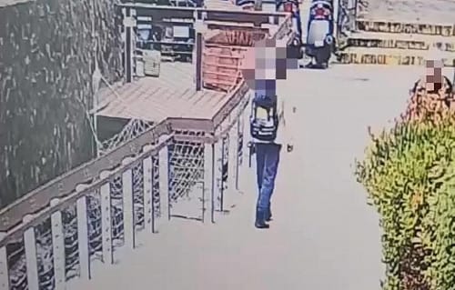 高雄獨居男11月攀壽山失聯  警消搜救中