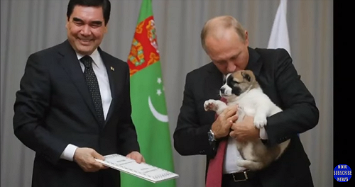 土庫曼狗狗外交  小牧羊犬賀壽普亭