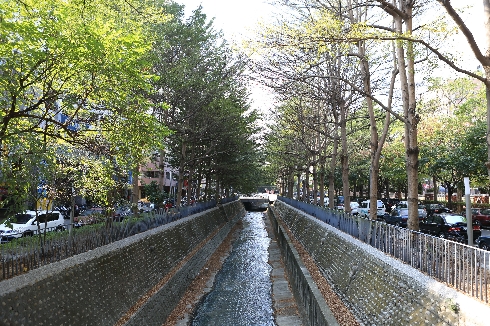 效仿「柳川」模式 台中打造惠來溪、潮洋溪親水空間