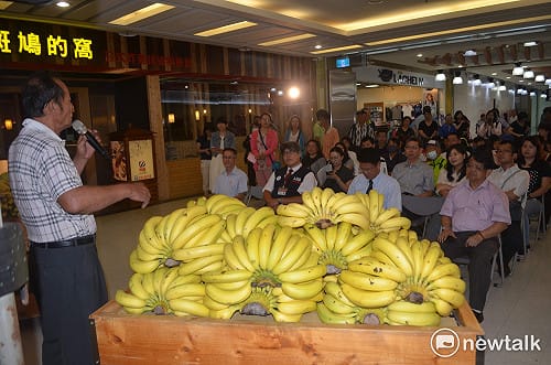 幫助農民  前立委林國慶買1噸香蕉快遞送小英吃