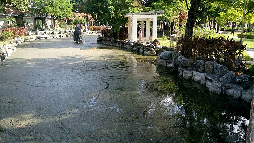 兒童公園施工造成魚群死亡 中市府：已停止變更設計