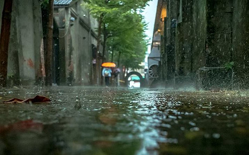 東北部濕冷至周五　專家：出門記得帶雨具穿外套