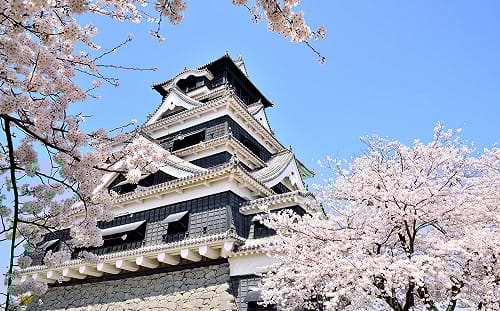 台南直飛「熊本、沖繩」兩新航點！12月底起航   市府：已準備好迎接日本旅客