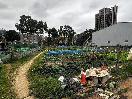 新北林口菜園衝突7旬翁身中4刀　凶嫌逃逸警追緝中