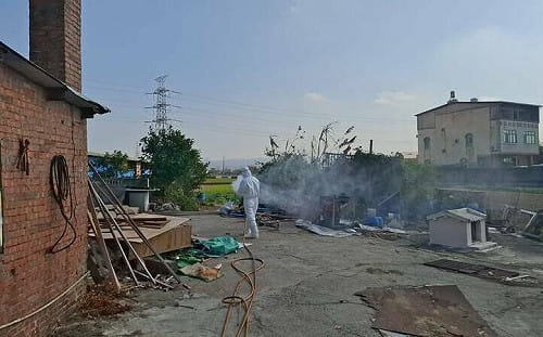 又見違法廚餘餵豬！台中龍井養豬場恐面臨400萬罰鍰 採檢結果出爐