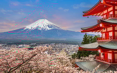 中台灣直達日本首都圈！星宇「台中—東京」航線3/30正式開航