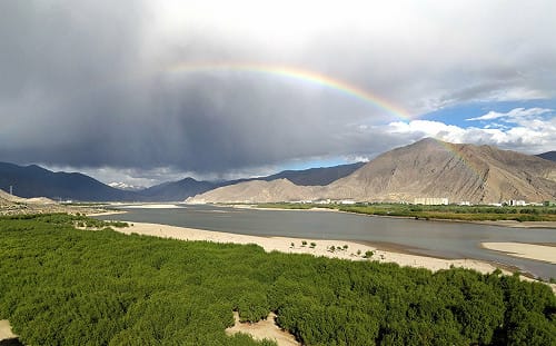 專論》中國種《780億棵樹》的代價是什麼？ 專家警告：「水循環正在出現嚴重異變」