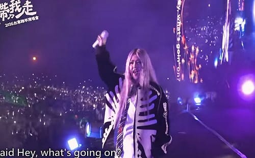 台東跨年「中央補助、地方執行」大獲好評！網：跨黨派合作典範