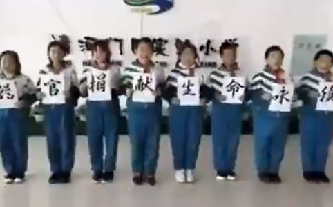 (影) 中國器官移植離奇綁架、死亡事件頻發! 「他」公開反對第二天就死了......