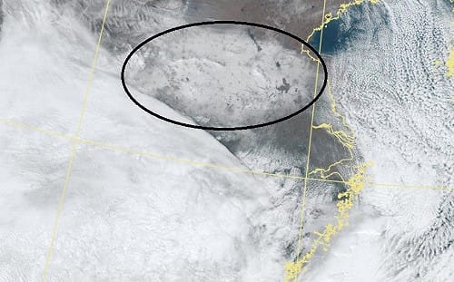 衛星雲圖驚見明顯大面積雪地！北極冷高壓南下台灣急凍