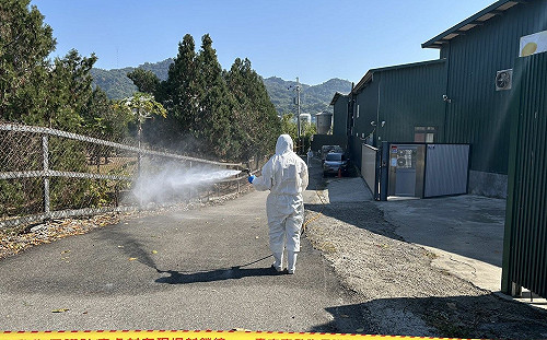 台中傳出禽流感 1,700隻雞死亡 何欣純：市府應公開疫情資訊