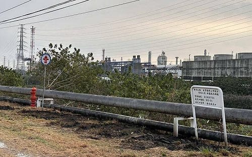 高雄男抓綠鬣蜥誤觸高壓電！4大企業停電  台電保留追訴權