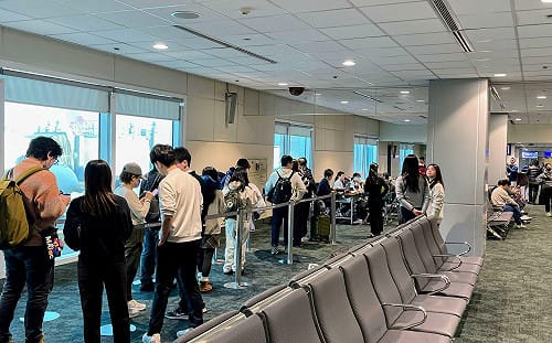 巴威攪局提前返台？旅遊粉專：掌握「3原則」拿原票價1.2倍理賠