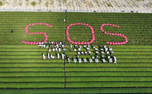 茶鄉「名間」產值百億！胡采蘋轟「南投焚化爐」選址：沒經濟 sense