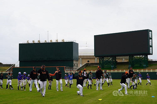 統一獅花蓮春訓　特定時段開放2樓看台觀看