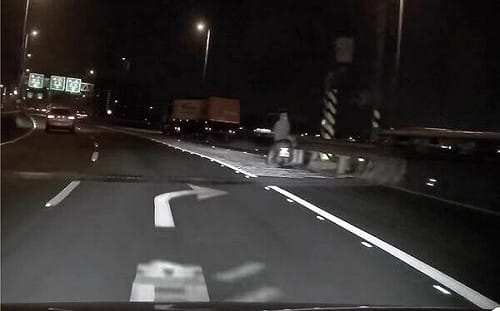 彰化女騎士誤闖國道！困路肩不敢動 警出動引導下匝道