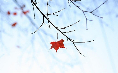 強烈東北風增強 各地低溫再降2度