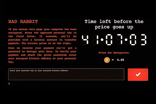 「壞兔子」來襲！ 惡意軟體攻擊機場網路