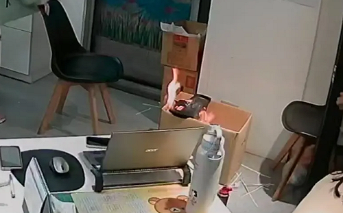 台中安養院碎紙機突氣爆起火   員工誤用「含丁烷」潤滑油釀災 