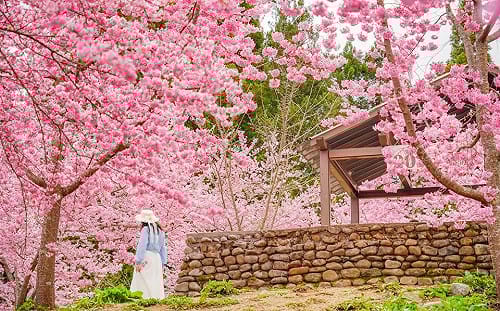 懶人包》過年走春去！觀光署「19處觀光大亮點」全台山海人文一次玩