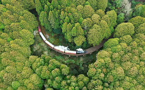 春遊嘉義首選！Taiwan PASS台灣燈會限定版2/14販售 交通景點門票全包