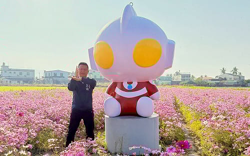 超人力霸王藝術裝置現身美濃、杉林  守護繽紛花海大地