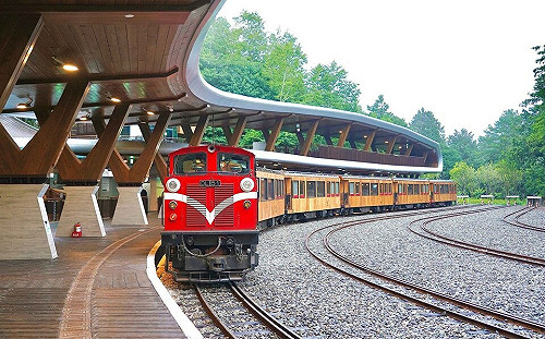 一票難求真相曝！阿里山林鐵8成訂位沒付錢  3/2起強制立即付款