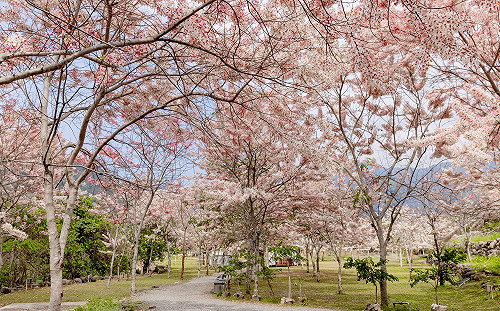 山城走春首選東高雄   體驗深度「慢旅、慢食、慢活」療癒遊程 