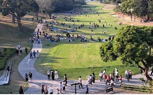 高雄「雙綠肺」春節吸客22萬    果嶺自然公園、澄清湖人氣超夯