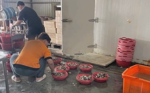 東石烤蚵吃到飽爆食安疑慮！逾10人「上吐下瀉」留負評