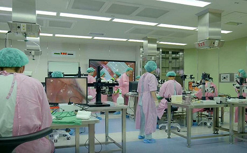 確保動物照護！每年支援200件研究   林口長庚實驗動物中心獲國家級大獎