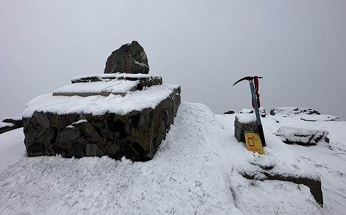 現實版冰雪奇緣！玉山主峰積雪10公分 夢幻雪景照曝光