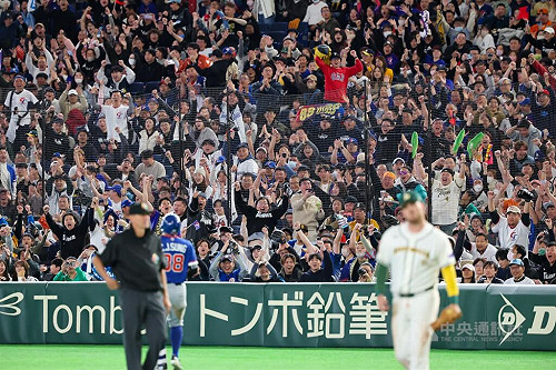 台灣球迷湧WBC東京巨蛋　巴札納開轟納悶無歡呼聲