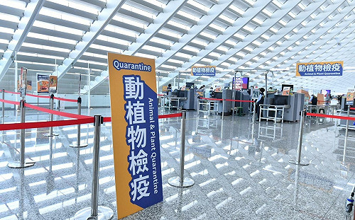 檢疫規定霧煞煞？防檢署官方Line帳號「可入境伴手禮」一鍵查清楚