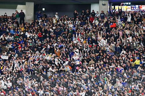 大聯盟官網記者看台灣球迷熱情：點亮東京巨蛋